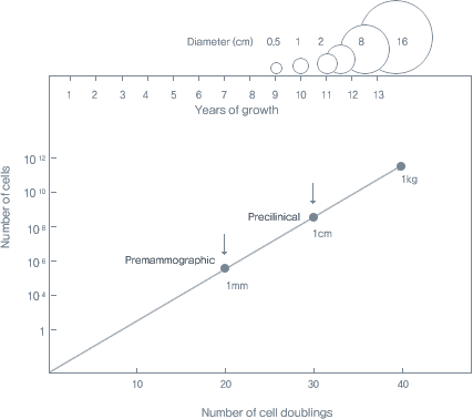 number of cell doubillngs