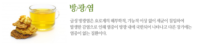 방광염 급성 방광염은 요로계의 해부학적, 기능적 이상 없이 세균이 침입하여 발생한 감염으로 인해 염증이 방광 내에 국한되어 나타나고 다른 장기에는 염증이 없는 질환이다.